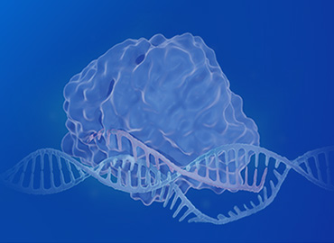 CRISPR sgRNA