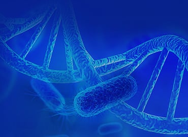 Microbial Gene Editing