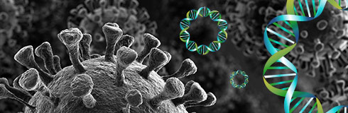 Plasmids for SARS-CoV-2 Detection and Research