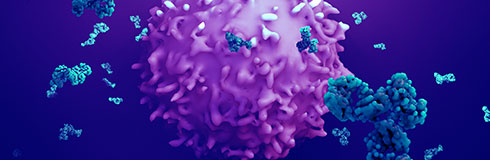 Peptides, Proteins and Antibodies for COVID-19 Research