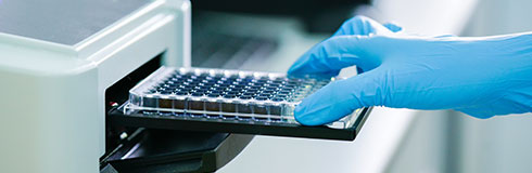 Peptides, Proteins and Antibodies for COVID-19 Research