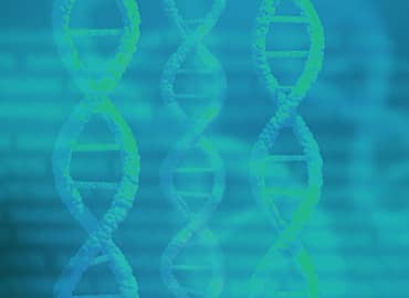 Gene Variant Libraries Services