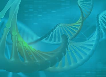 High-Throughput DNA Library Assembly Service