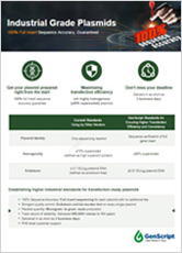 industrial grade plasmid flyer