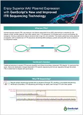 industrial grade plasmid flyer
