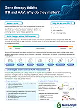 industrial grade plasmid flyer