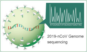 2019-nCoV Genome Sequencing