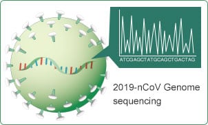 2019-nCoV Genome Sequencing 2019-nCoV Genome Sequencing