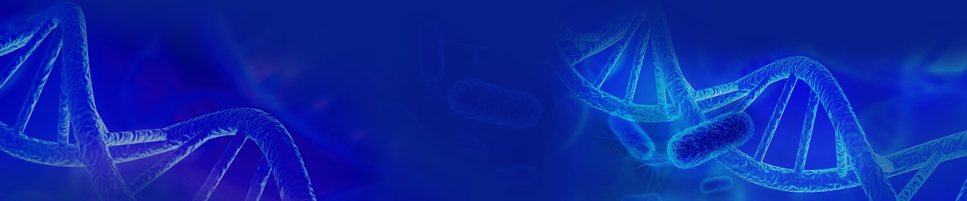 GenScript's Standard Polyclonal Antibody Services
