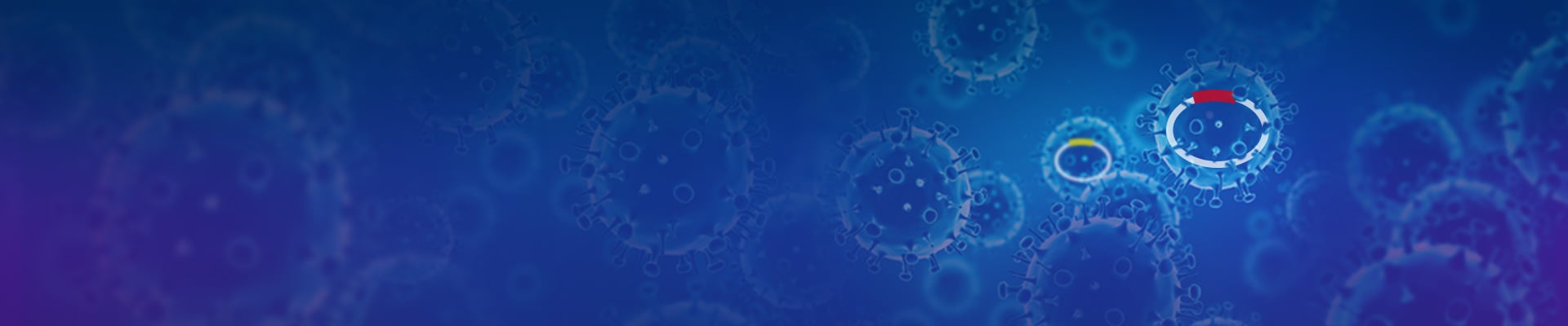 CRISPR gRNA Libraries
