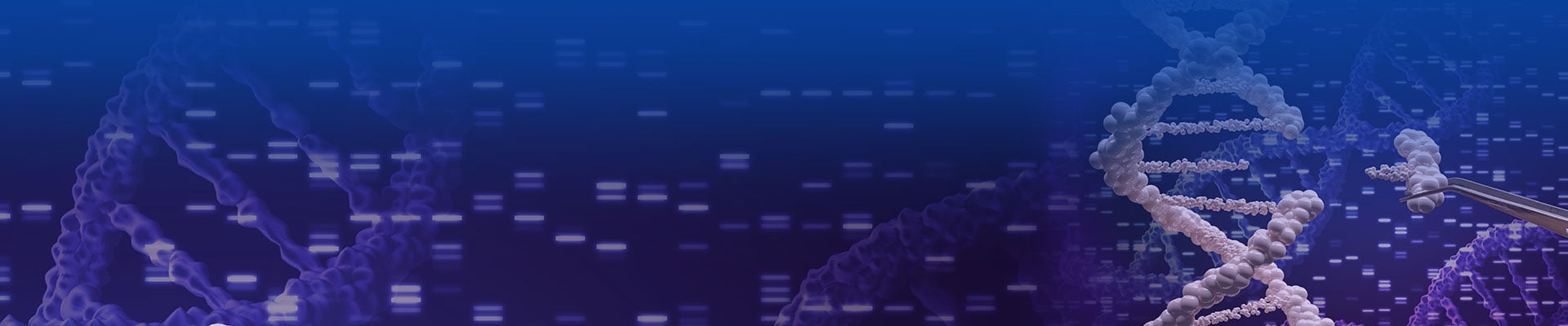 cGMP ssDNA And dsDNA Services Are Here!