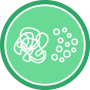 Plasmid preparation in the US
