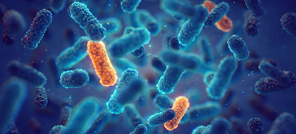 A New Strategy Evades Bacterial Resistance-Targeting Beta-Lactamases with Synthetic Peptides to Improve Antibiotic Performance