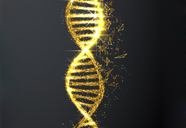 For the First Time: A New Structure of DNA has been Discovered