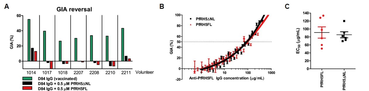 Immunization with PfRH5 elicit relevant anti-PfRH5 nAbs
