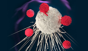 An Introduction to Therapeutic Chimeric Antigen Receptor T Cells