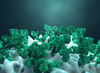 Antibody-drug Conjugate, a Potential Trojan Horse to Fight Cancer