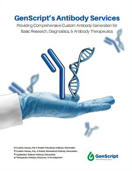 Antibody Services Brochure