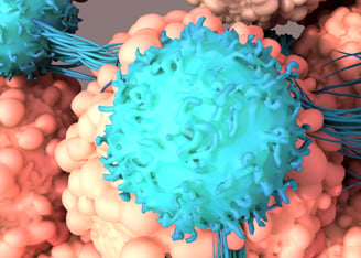 Boosting CAR-T cells with mRNA Vaccines: New Immunotherapy Strategy