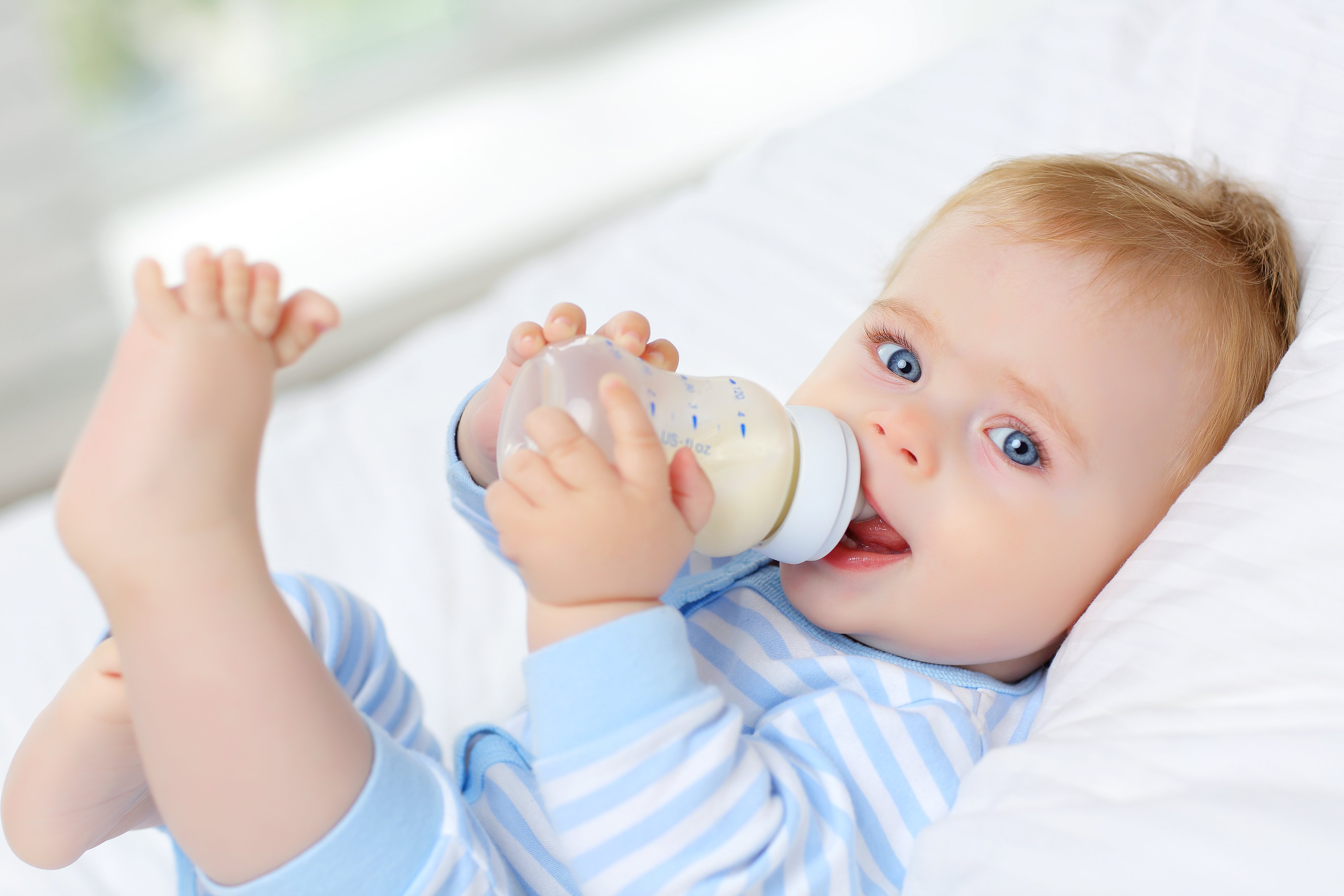 breast milk's microbial makeup