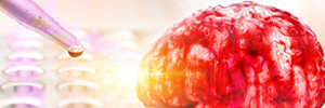 Cerebral Organoids Provide a Platform to Screen Alzheimer’s Drugs