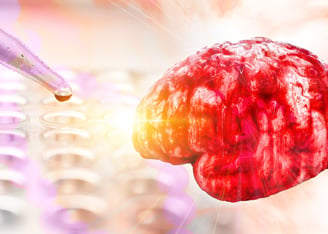Cerebral Organoids Provide a Platform to Screen Alzheimer’s Drugs