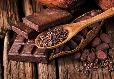 Scientists’ approach to saving the “Chocolate Trees” from extinction
