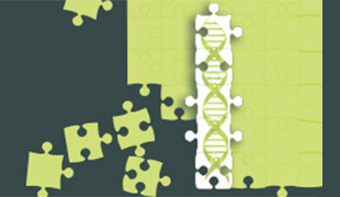 High-Throughput DNA Library Assembly Services