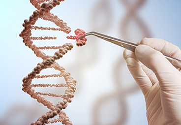 What is CRISPR - Genscript