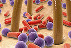 skin microbiome