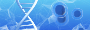 Correcting Human Disease Mutations with CRISPR/Cas9-AAV Strategies