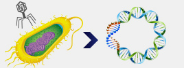 What is CRISPR