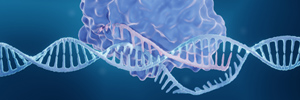 CRISPR/Cas9 Based Screens Advancing Cell Therapies