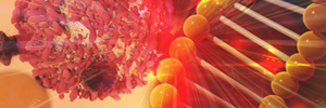 CRISPRing T Cell Therapeutics: What Are The Benefits?
