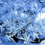 Low temperature, Temperature sensation and mouse, Temperature sensation and rabbit, Temperature sensation and rat, temperature transcriptome and plant, microgravity AND gene, membrane protein, Membrane proteins, Membrane vesicles