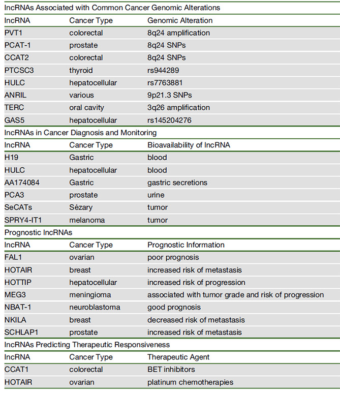 Cancer-associated IncRNAs