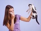 allergies, T cells, immune cells, cell metabolism, immune response, lymphocytes, asthma