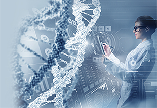 DNA Origami, DNA Assembly