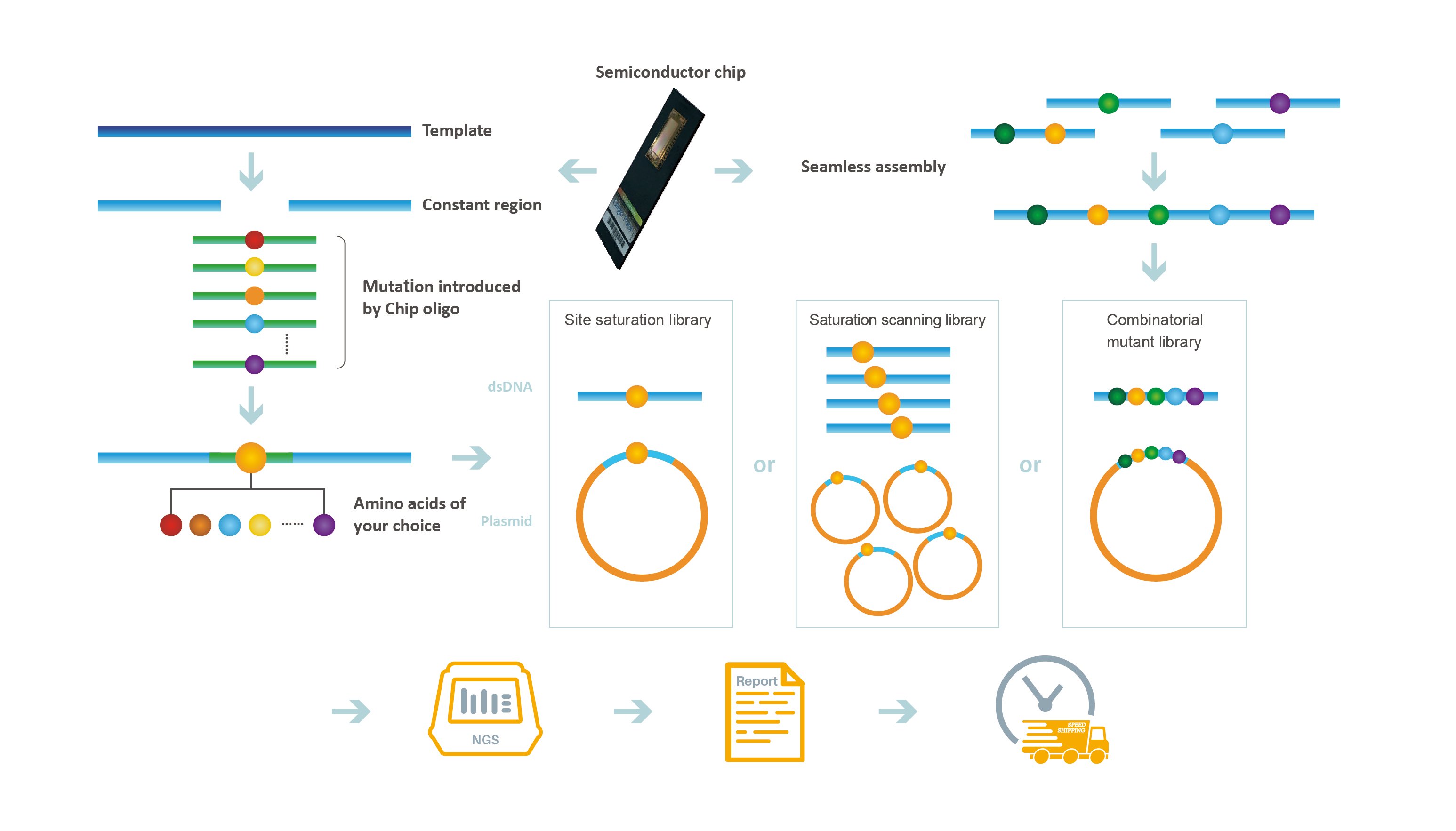 driving-antibody-development-through-improved-engineering-technologies