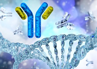 Driving Antibody Development through Improved Engineering Technologies