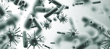 Engineering E. coli to Fight Viral Infections