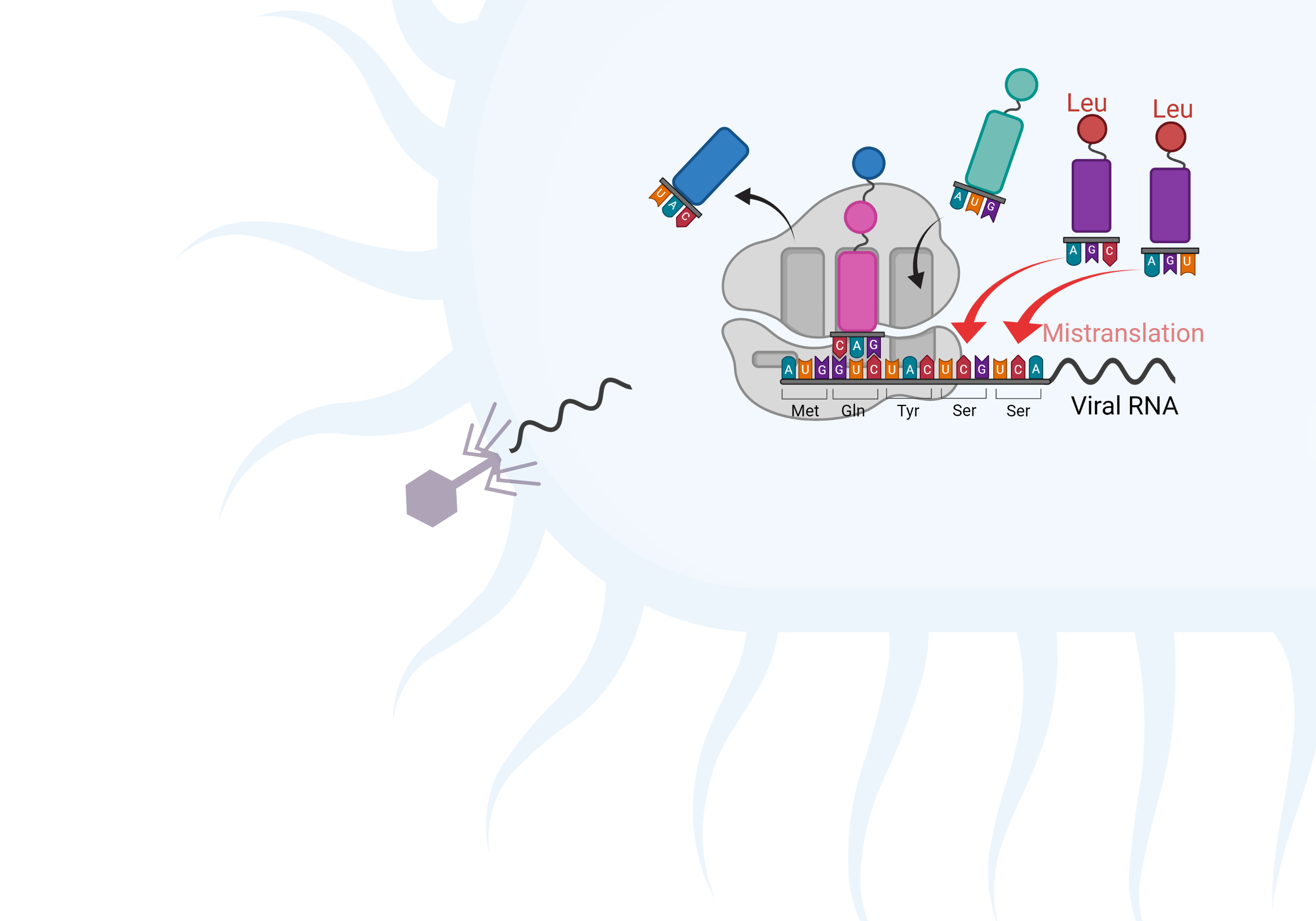 Mobile tRNAs help overcome resistance