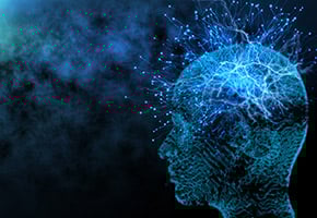 Evidence for Enduring Neurogenesis in Adult Brains