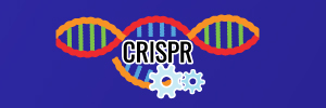 Evolving CRISPR/Cas Tools through Engineering Strategies