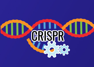 Evolving CRISPR/Cas Tools through Engineering Strategies