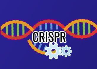 Evolving CRISPR/Cas Tools through Engineering Strategies