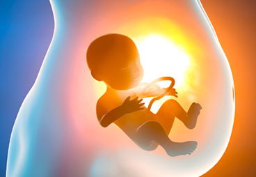 Fetal Immune System Rejects Mother’s Womb, Leading to Preterm Labor