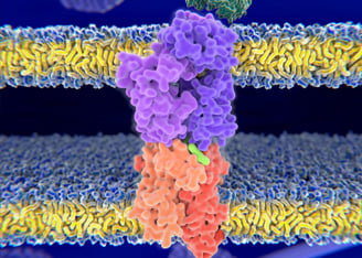  Finding
              the Best Tumor Antigen Peptides for Immunotherapy