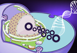 High-Throughput DNA Library Assembly Picture