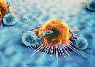 From Bispecific to Trispecific Antibodies in Cancer Immunotherapy